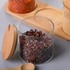 3x Gewürzbehälter Set 300ml Gewürzgläser mit Löffel, Bambusdeckel und Holzsockel - Image 3